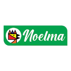 marca noelma